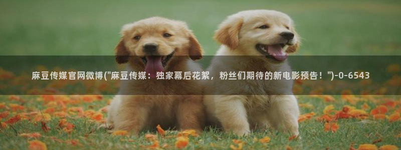麻豆文化传媒官网ios:麻豆传媒官网微博(\